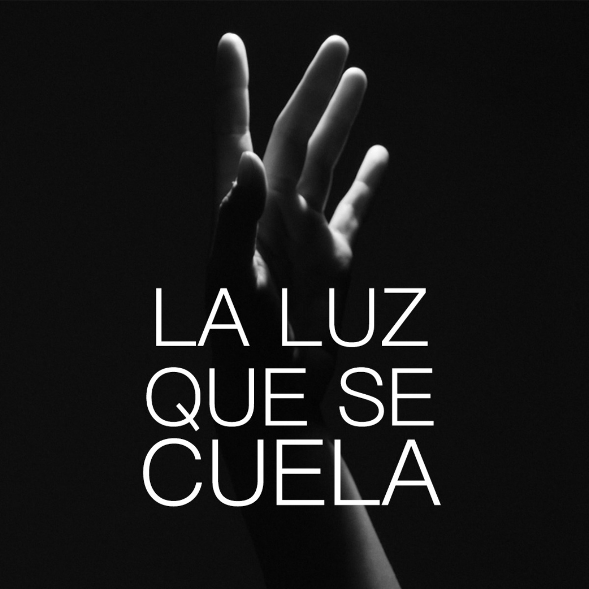 Retrato de LALUZQUESECUELA